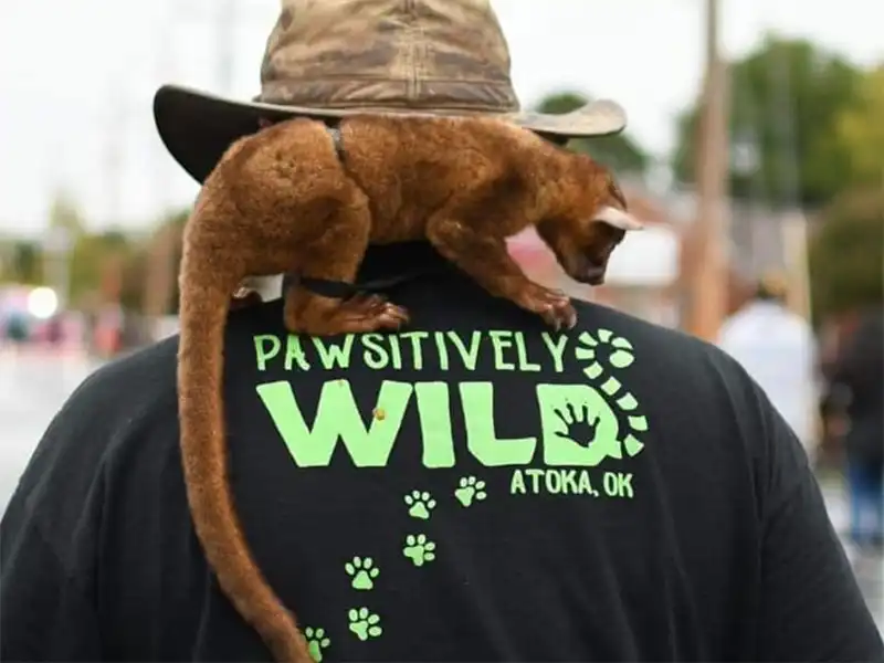 Pawsitively Wild, Atoka, OK